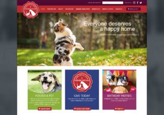 Website Launch: Animal Refuge League of Greater Portland