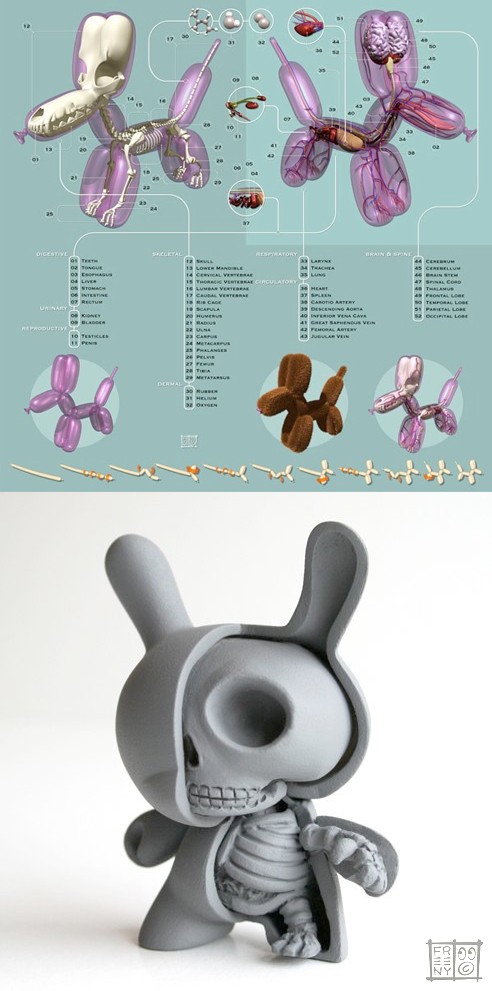 Jason Freeny's balloon animal illustration and his first dissected toy Dunny.