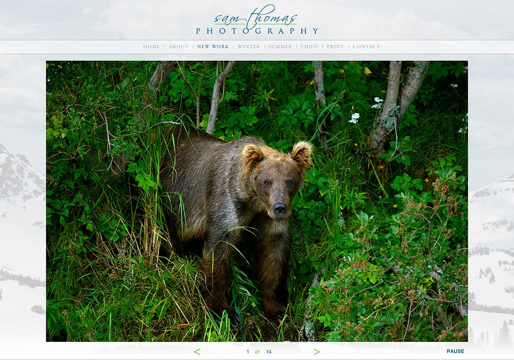 Sam Thomas Photography: A Maine Website Design by SlickFish Studios